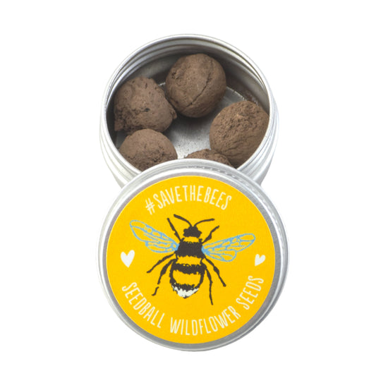 Save The Bees | Seedball Tin | Mini Gift | Cracker Filler