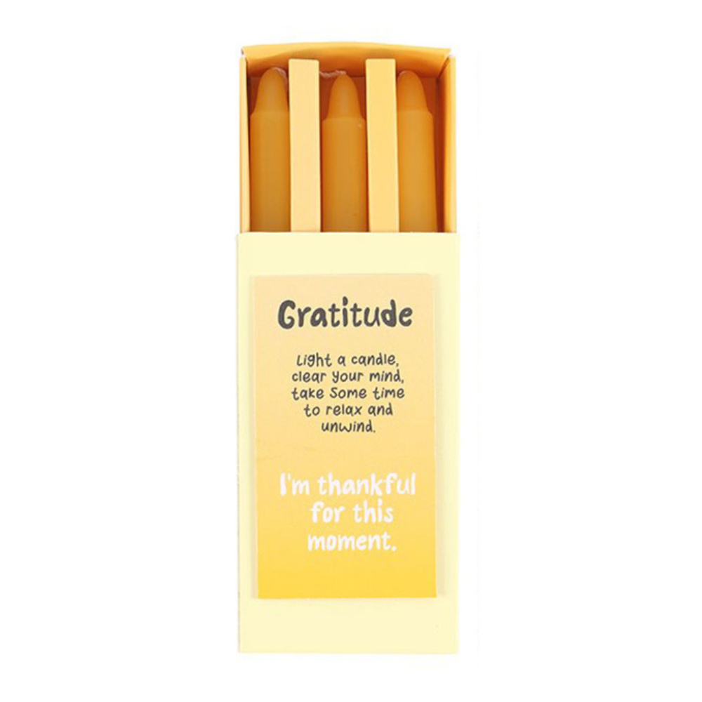 Gratitude | 3 Affirmation Candles & Holder | Oversized Matchbox of Mindfulness