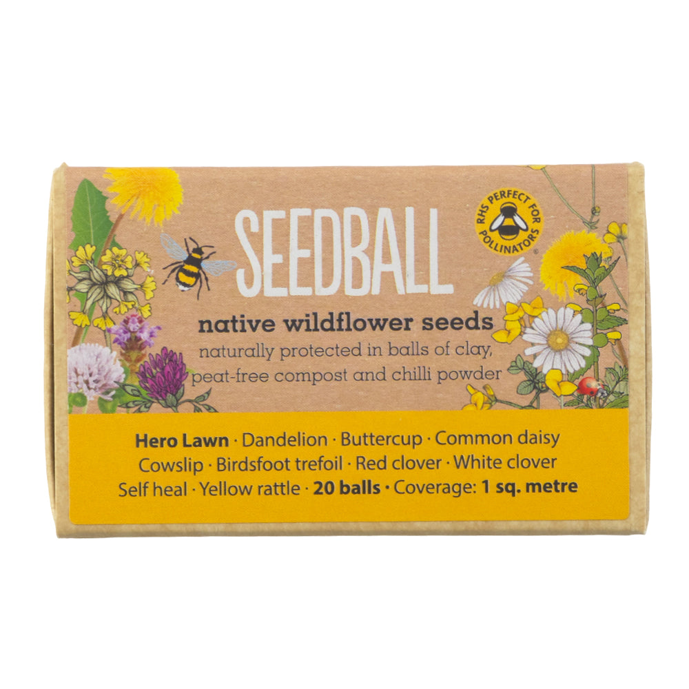 Hero Lawn | 20 Native Wildflower Seedballs | Mini Gift | Cracker Filler