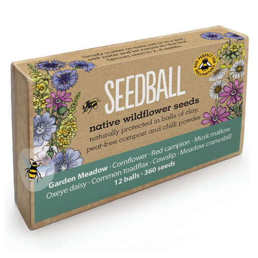 Garden Meadow | 12 Native Wildflower Seedballs | Mini Gift | Cracker Filler