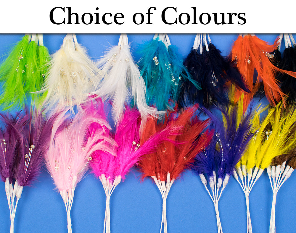 6 Feather & Diamante Picks for Floristry & Crafts - Choice of Colour