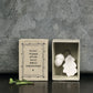 Small Beginnings | Ceramic Acorn & Oak Leaf | Cracker Filler | Matchbox Gift