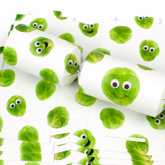 Googly Sprouts | Christmas Cracker Making Craft Kit | Make & Fill Your Own