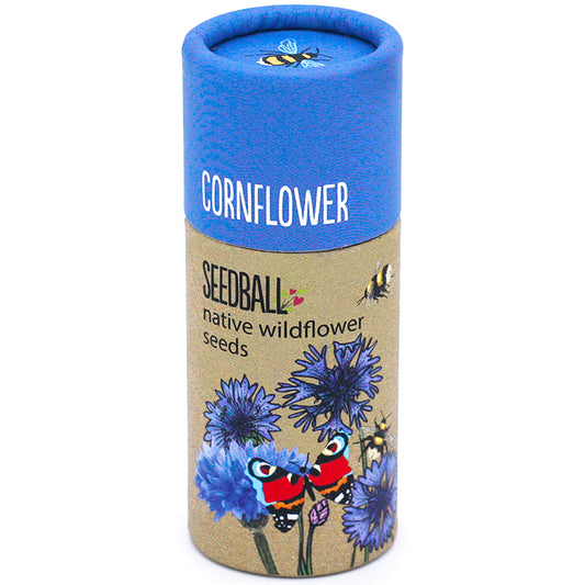 Cornflower Seeds | Luxury Tube of Seed Bombs | Cracker Filler | Mini Gift